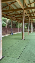 池田研司ブリーダーからお迎えしたラブラドールレトリバー：王子くん