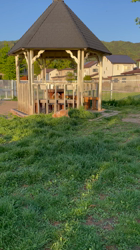 鈴木真己ブリーダーからお迎えしたトイプードル：アンちゃん