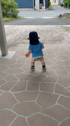 鈴木真己ブリーダーからお迎えしたトイプードル：アンちゃん