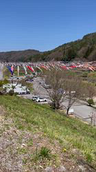 鈴木真己ブリーダーからお迎えしたトイプードル：アンちゃん