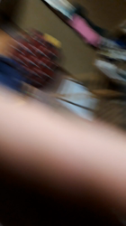 飛田新作ブリーダーからお迎えしたマンチカン：そらとくん