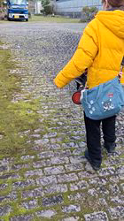 村山一男ブリーダーからお迎えした柴犬：花華ちゃん