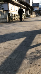 木暮明子ブリーダーからお迎えしたチワワ×プードル：福丸くん