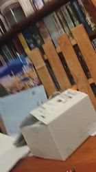 上條麗娜ブリーダーからお迎えしたグレートピレニーズ：Gold Shipくん