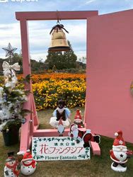 原山洋ブリーダーからお迎えした父プードル母チワワ(ロング)：福楽朗くん