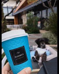 原山洋ブリーダーからお迎えした父プードル母チワワ(ロング)：福楽朗くん