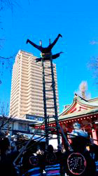 原山洋ブリーダーからお迎えした父プードル母チワワ(ロング)：福楽朗(ぷくたろう)くん