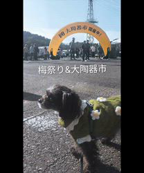 原山洋ブリーダーからお迎えした父プードル母チワワ(ロング)：福楽朗(ぷくたろう)くん