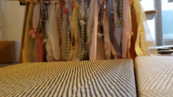 塩塚真樹ブリーダーからお迎えしたベンガル：エースくん