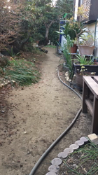 遠藤マッケーブ敦子ブリーダーからお迎えしたカニンヘンダックスフンド(ロング)：JETくん