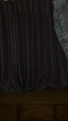 佐々木美絵ブリーダーからお迎えしたメインクーン：Lei (レイ）くん