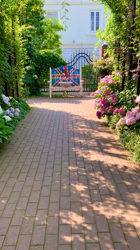 永田佳美ブリーダーからお迎えしたトイプードル：キキちゃん