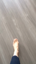 上田良子ブリーダーからお迎えしたチワワ(ロング)：ティムくん