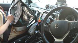 浜村雄希ブリーダーからお迎えしたアメリカンショートヘア：昆布くん