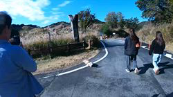 松本俊之ブリーダーからお迎えしたミニチュアダックスフンド(ロング)：コユキちゃん