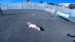 松本俊之ブリーダーからお迎えしたミニチュアダックスフンド(ロング)：コユキちゃん