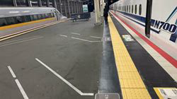 松本俊之ブリーダーからお迎えしたミニチュアダックスフンド(ロング)：コユキちゃん