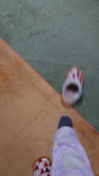 青柳美喜子ブリーダーからお迎えしたノルウェージャンフォレストキャット：LUNA🌈ちゃん