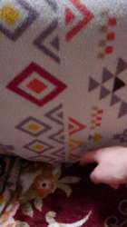 青柳美喜子ブリーダーからお迎えしたノルウェージャンフォレストキャット：LUNA🌈ちゃん