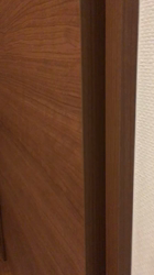 谷口久美子ブリーダーからお迎えしたアメリカンショートヘア：ナツくん