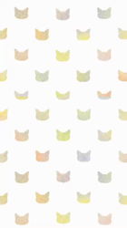 馬場真由美ブリーダーからお迎えしたスコティッシュフォールド：モナくん