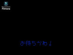 大東香織ブリーダーからお迎えしたサイベリアン：エルガーくん