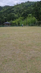 桑原二三男ブリーダーからお迎えしたボーダーコリー：ミックちゃん