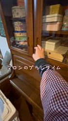 渡邊舞ブリーダーからお迎えしたノルウェージャンフォレストキャット：マロンくん