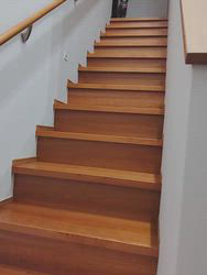 金盛祥光ブリーダーからお迎えしたロシアンブルー：ルークくん