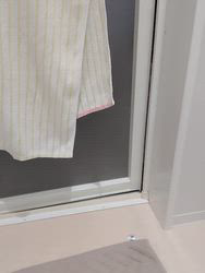 金盛祥光ブリーダーからお迎えしたロシアンブルー：ルークくん