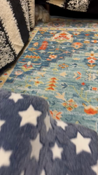 吉田直美ブリーダーからお迎えしたヨークシャーテリア：陸くん