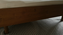 宍戸政俊ブリーダーからお迎えしたロシアンブルー：Rioくん