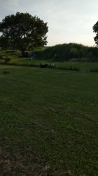 古谷操ブリーダーからお迎えしたジャックラッセルテリア：ロックくん