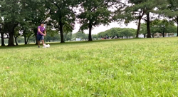 新井原博ブリーダーからお迎えしたポメラニアン：しおんちゃん