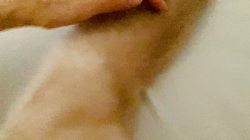 清洋一ブリーダーからお迎えしたミヌエット：ゆきちゃん