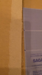 清洋一ブリーダーからお迎えしたミヌエット：ゆきちゃん