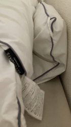 清洋一ブリーダーからお迎えしたミヌエット：ゆきちゃん