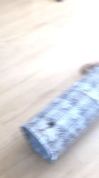 清洋一ブリーダーからお迎えしたミヌエット：ゆきちゃん