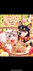 小山敏恵ブリーダーからお迎えした柴犬：京鳳虎次郎くん