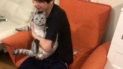 矢島啓行ブリーダーからお迎えしたマンチカン：ラムくん