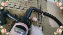 後藤嘉茂ブリーダーからお迎えしたペルシャ(チンチラ)：ムーミャンくん