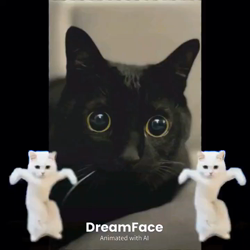 橋本留実子ブリーダーからお迎えした猫サン犬サン：みんなで歌おう🎶🎶ちゃん
