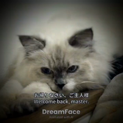 橋本留実子ブリーダーからお迎えした猫サン犬サン：みんなで歌おう🎶🎶ちゃん