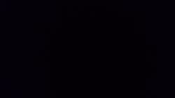 橋本留実子ブリーダーからお迎えしたボンベイ：ロデム🐈‍⬛くん