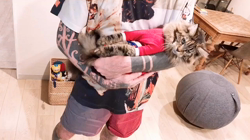 長谷川麻里ブリーダーからお迎えしたメインクーン：zazieちゃん