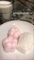 長谷川麻里ブリーダーからお迎えしたメインクーン：zazieちゃん