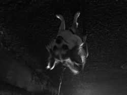 縄田あゆみブリーダーからお迎えしたチワワ(ロング)：杏菜ちゃん