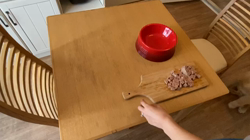 山内康裕ブリーダーからお迎えしたゴールデンレトリバー：希望ちゃん