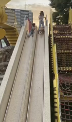 山内康裕ブリーダーからお迎えしたゴールデンレトリバー：希望ちゃん