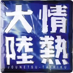 野村陽子ブリーダーからお迎えしたラグドール：やしろくん